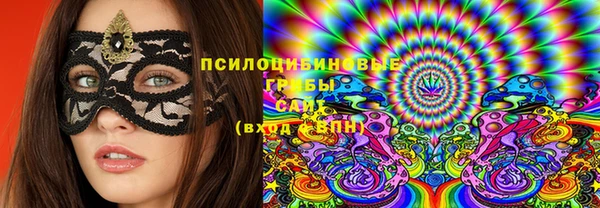 молекула духа Вяземский