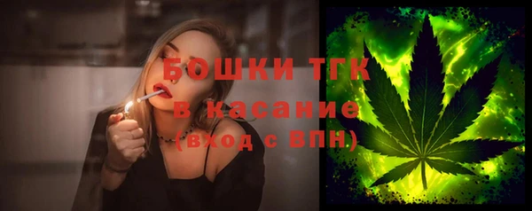 молекула духа Вяземский